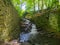 Bentley Brook flows through an old derelict millwheel pit