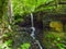 Bentley Brook flows through the remains of a derelict mill in woodland