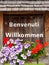 Benvenuti translated welcome and willkommen translated welcome on wooden board with colorful flowers in summer