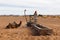 Berber and camel near the well, Morocco