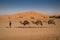 Berber man leading caravan, Hassilabied, Sahara Desert, Morocco