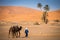 Berber man leading caravan, Hassilabied, Sahara Desert, Morocco