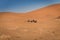 Berber man leads caravan through Sahara Desert, Morocco
