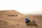 Berber man watching a group of dromedary camels in the dunes of the Sahara desert