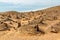 Berber old cemetery on the edge of Sahara desert in Morocco.