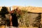 Berber Tent in Merzouga Dunes - Morocco