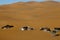 Berber Tents in Merzouga Dunes - Morocco