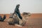 Berber wearing black clothes and sitting on his camel in the Erg Chebli desert in Morocco