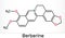 Berberine C20H18NO4, herbal alkaloid molecule. Skeletal chemical formula