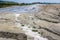 Berca Mud Volcanoes In Romania