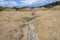 Berca Mud Volcanoes In Romania