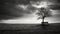 Bereaved Absence: A Moody Black And White Landscape With A Lone Tree And Bench