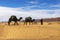 Bereber and two camels in the Sahara Desert, Morocco