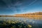 Berezinsky, Biosphere Reserve, Belarus. Autumn Landscape With La