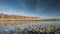 Berezinsky, Biosphere Reserve, Belarus. Autumn Landscape With Lake Pond River And Beautiful Birch Forest On Another