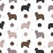 Bergamasco shepherd seamless pattern. Different coat colors and poses set