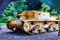 BERGAMO, ITALY - MAY 22, 2019: The Italian self-propelled gun Semovente da 75/18 Manufacturer FIAT-Ansaldo of the Second World