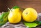 Bergamot citrus fruit from south Italy, Reggio Calabria.