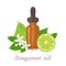 Bergamot essential oil. Amber glass dropper bottle, fragrant flowers, green leaf and citrus fruit