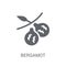 Bergamot icon. Trendy Bergamot logo concept on white background