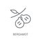 Bergamot icon. Trendy Bergamot logo concept on white background