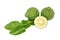 Bergamot kaffir lime leaves herb fresh ingredient isolated