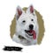 Berger Blanc Suisse or White Swiss Shepherd Dog breed showing tongue. Digital art illustration isolated on white background.