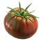 Berkeley Tie Dye Heart heirloom striped bicolor tomato  isolated