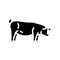 berkshire pig breed glyph icon vector illustration