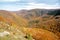 Berkshires hills in late Autumn, Mount Greylock