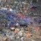 `Berlin blue`, a poisonous cyanide compound, hydrocyanic acid, in the subsoil of the construction site for residential buildings