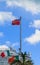 Bermuda Flag Over Cruise Ship