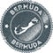 Bermuda map vintage stamp.