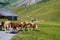 Bern, Switzerland - July 25, 2022 - View of Engstligenalp from the Engstligengrat hiking trail, Swiss Alps, Switzerland