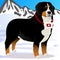 Bernes Mountain dog lifesaver in mountains