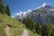 The Bernese Alps with the Jungfrau, Monch and Eiger peaks