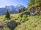 The Bernese alps with the Jungfrau, Monch and Eiger peaks over the alps meadows