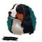 Bernese Mountain Dog, Berner Sennenhund dog digital art illustration isolated on white background. Switzerland origin Sennenhund-