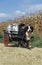 Bernese Mountain Dog pulling a Cart with Milk-churns