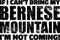 Bernese Mountain slogan