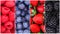 Berries Background Collection. Raspberry, Blueberry, Blackberry