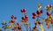 Berries bask in the warm sunlight as they grow on a vibrant tree