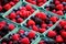 Berries in a box - raspberries, blueberries, blackberries, Farmers Market Berries Assortment Closeup. Strawberries, Blueberries,