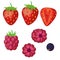 Berries in a flat style on a white background. Isolated. Strawberries, raspberries, black currants. sliced strawberries