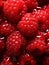 Berries food ripe raspberry sweet up organic eating close macro fruit snack red summer