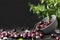 Berries fresh cherries poured from a plate on a black background, mint