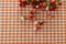 Berries of Hypericum on the gingham check pattern tablecloth