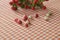 Berries of Hypericum on the gingham check pattern tablecloth