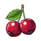 Berries icon. Cute image of an isolated red berries