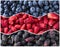 Berries for infographics. Fresh berries closeup. Blueberries, strawberries and mulberries in the shape of a circle. Berries for